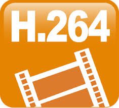 H264 CONVERT TO AVI