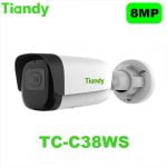 قیمت دوربین مداربسته تیاندی مدل Tiandy TC-C38WS